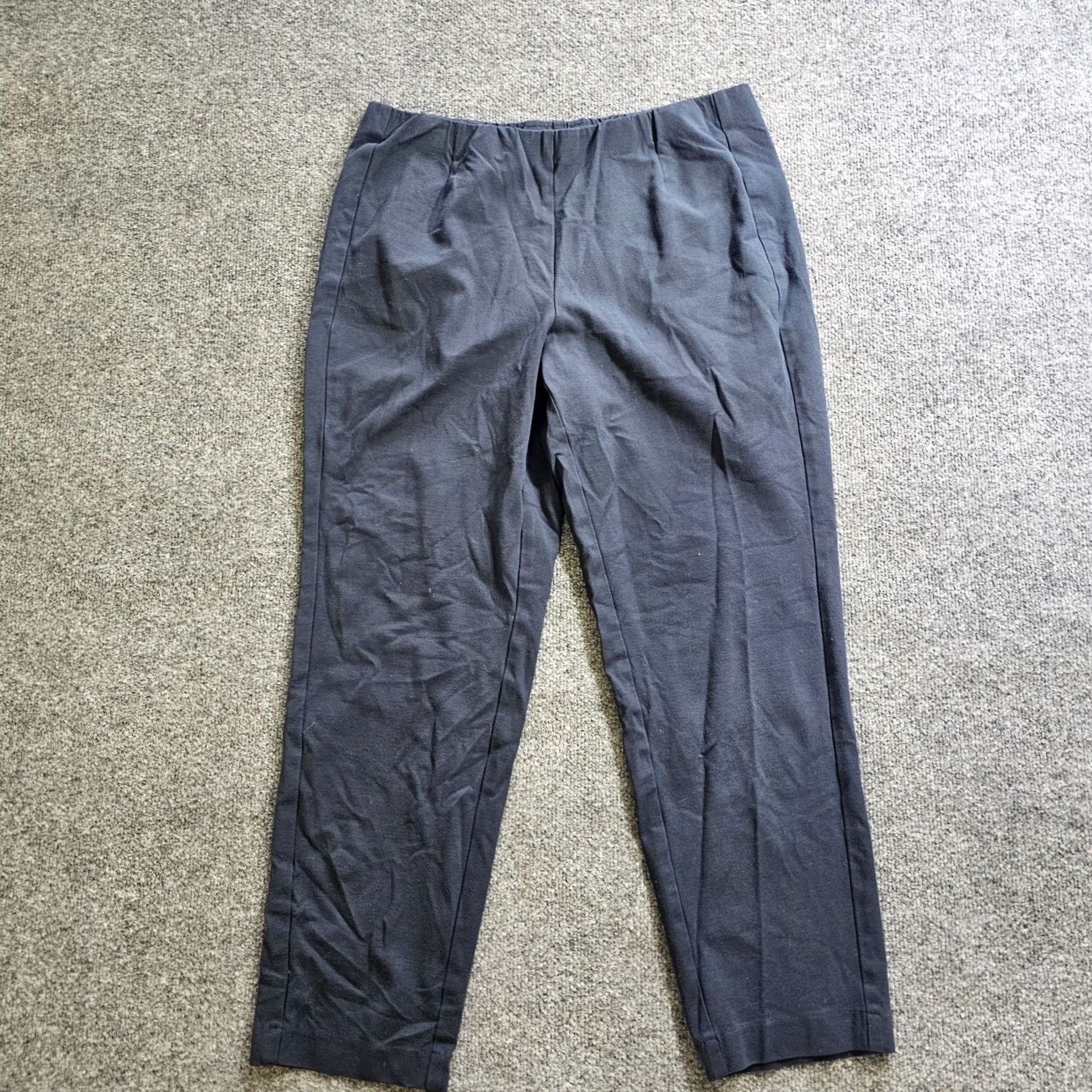 J. Jill J Jill Pants Womens Large Blue Ponte Slim Leg Elastic Waist Stretch Casual Basic Size 36" / US 14 / IT 50 - 2 Thumbnail