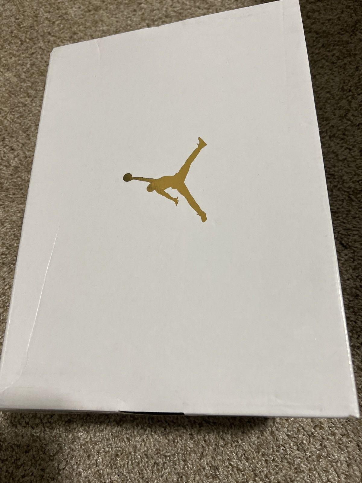 Jordan Brand Air Jordan 3s Size US 7.5 / IT 37.5 - 7 Thumbnail