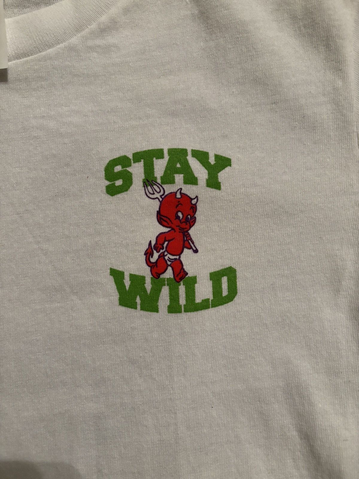 Other Men’s stay wild tshirt size small Size US S / EU 44-46 / 1 - 2 Thumbnail