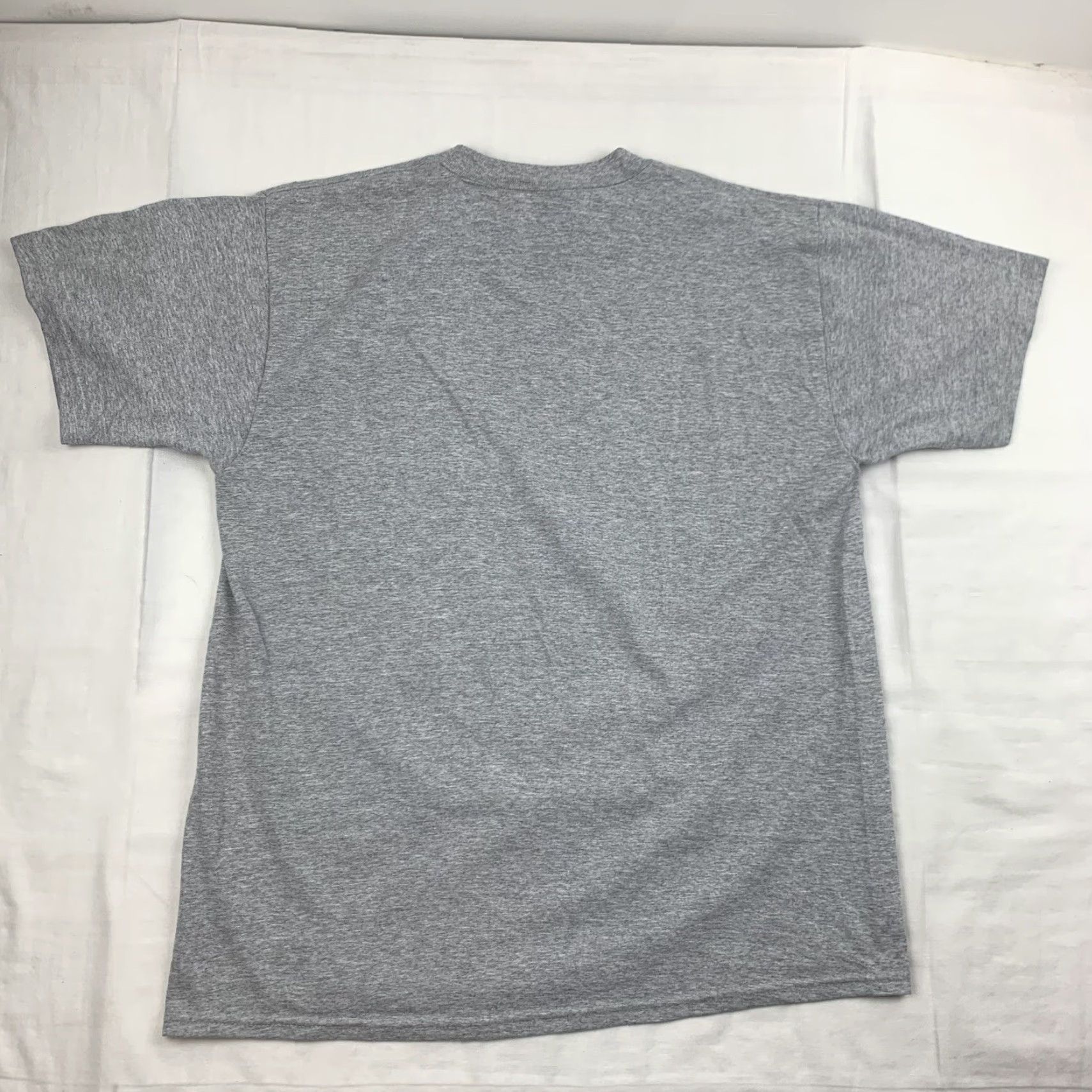 Fruit Of The Loom VINTAGE Fruit of the Loom Shirt Adult Large Gray 2001 Spring Break Cartoon America Mens Size US L / EU 52-54 / 3 - 8 Thumbnail