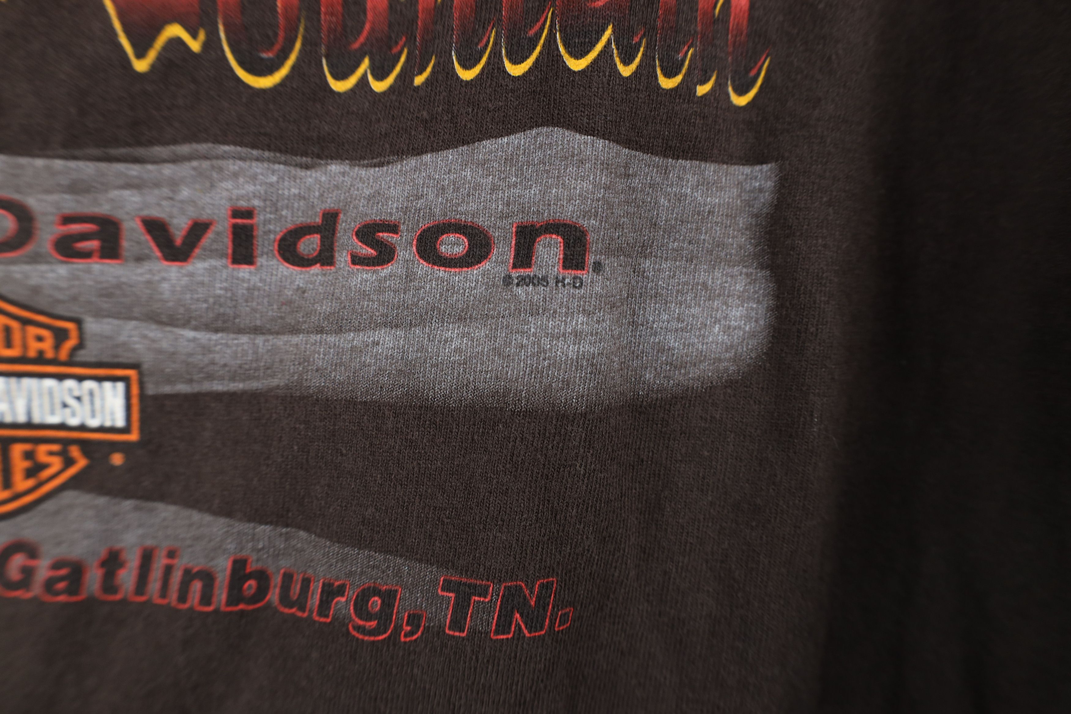 Harley Davidson × Vintage Vintage Y2K 2005 Harley Davidson Skull Dragon T-Shirt USA Size US L / EU 52-54 / 3 - 10 Thumbnail