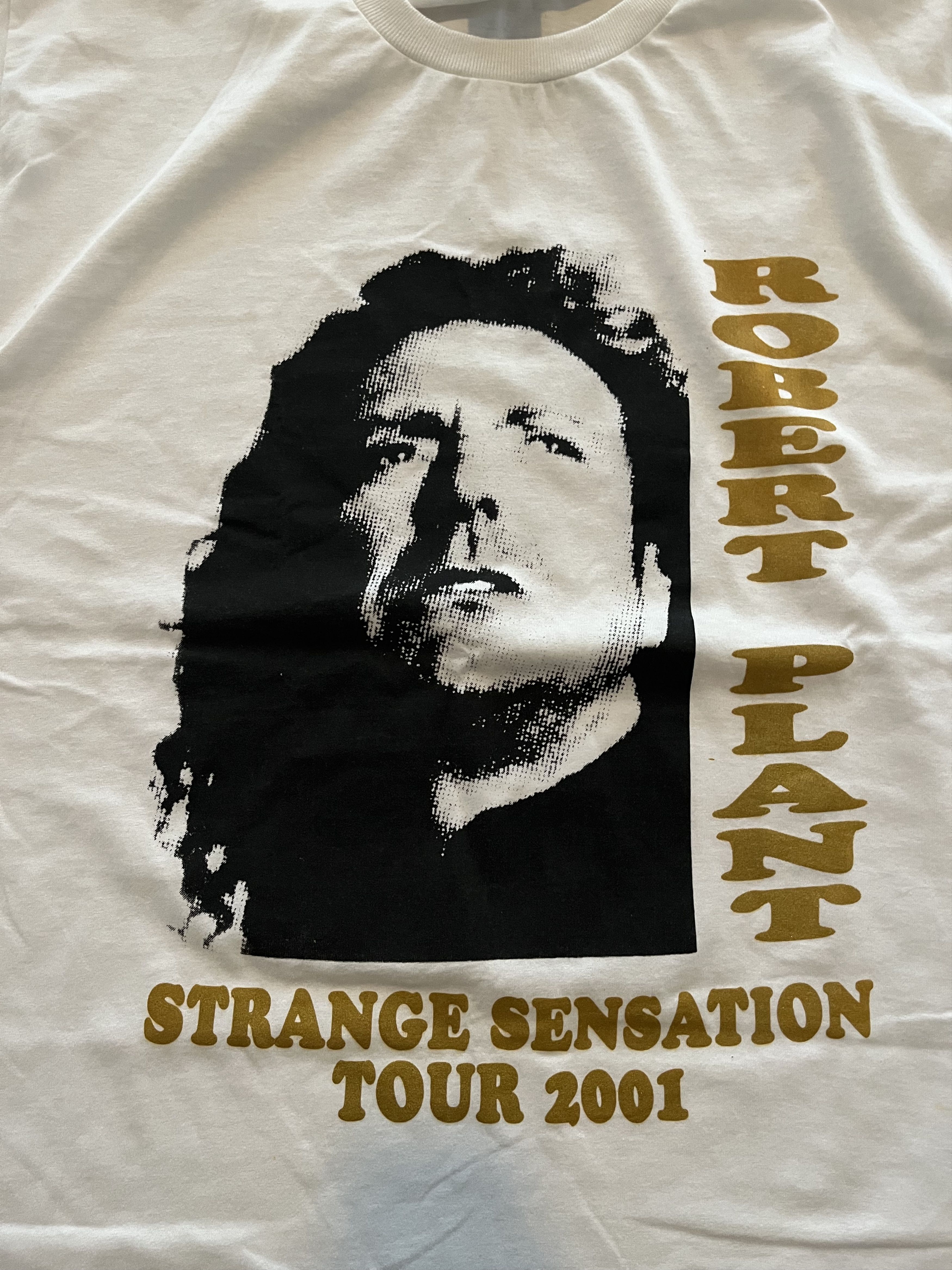 Jerzees Robert Plant Strange Sensation Tour 01' Tee Size US XL / EU 56 / 4 - 3 Thumbnail