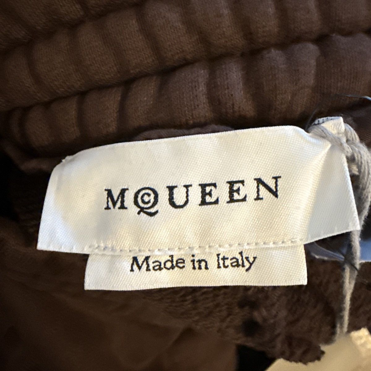 Alexander McQueen Alexander McQueen Brown Joggers Size US 35 - 6 Thumbnail