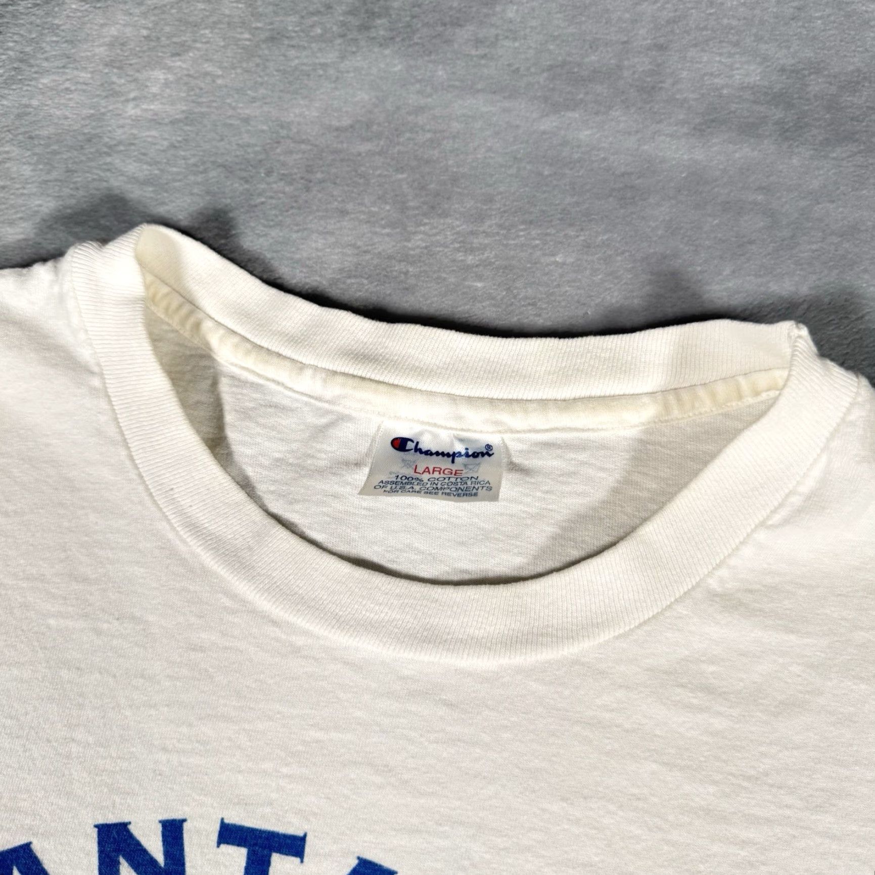 Champion VINTAGE Champion T-Shirt Mens Large Crewneck 90s White Size US L / EU 52-54 / 3 - 4 Thumbnail