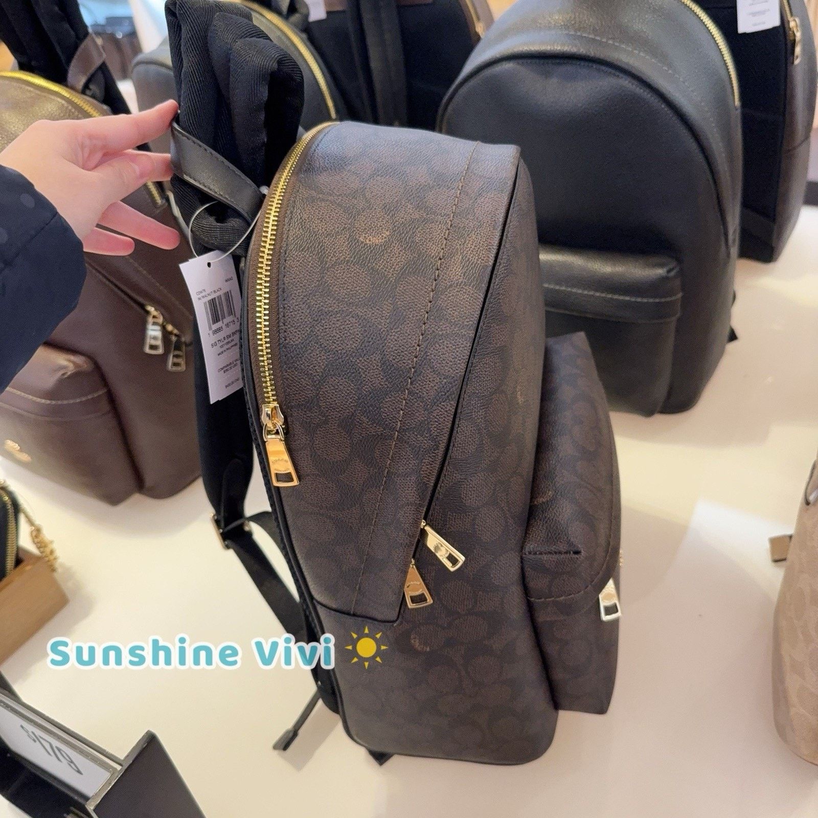 Coach NWT Coach Taylor Small Backpack CDW76 WALNUT/BLACK Size ONE SIZE - 5 Thumbnail