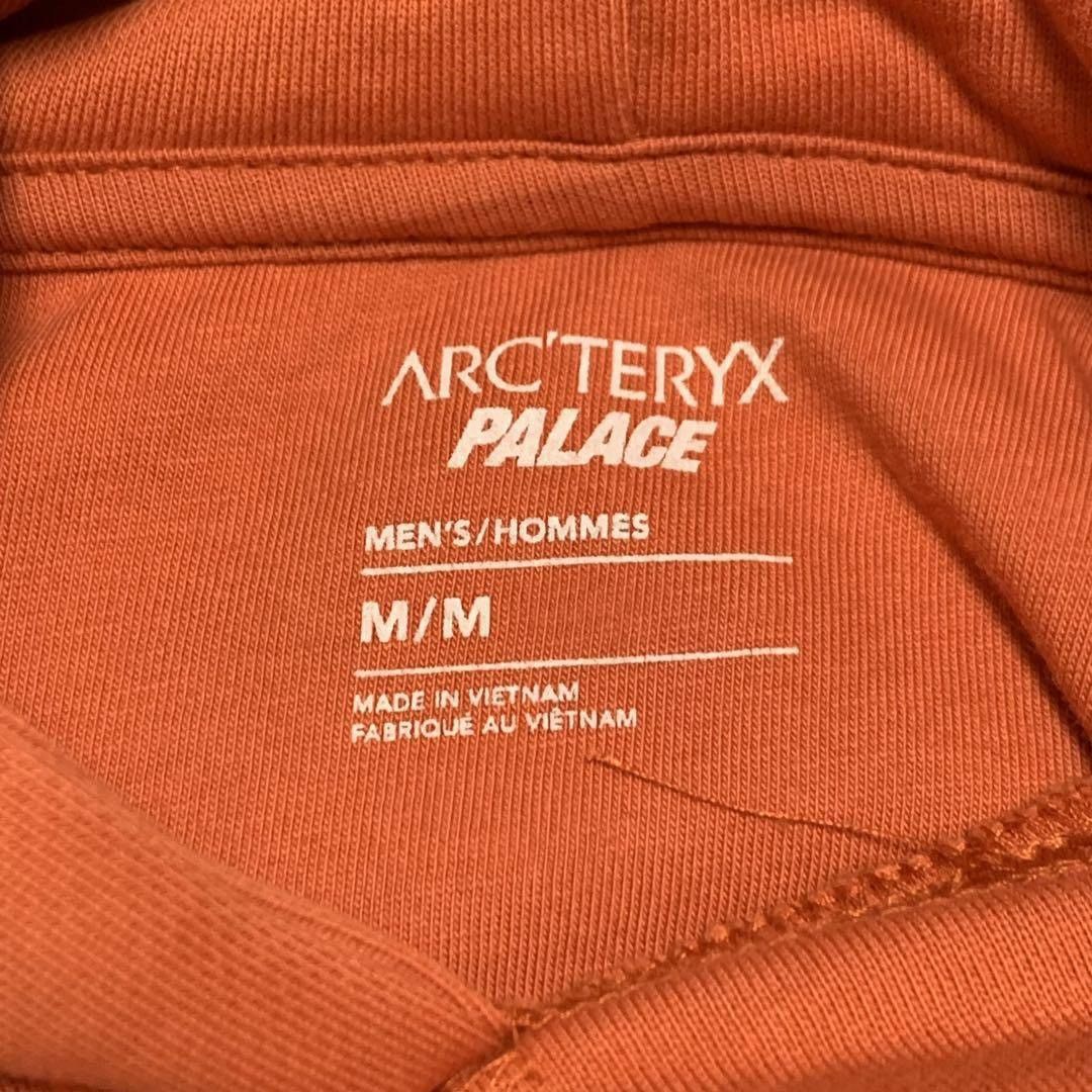 Arc'teryx × Palace Arcteryx x Palace Hoodie Size US M / EU 48-50 / 2 - 12 Thumbnail