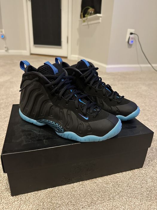 Nike on sale foamposite hornets