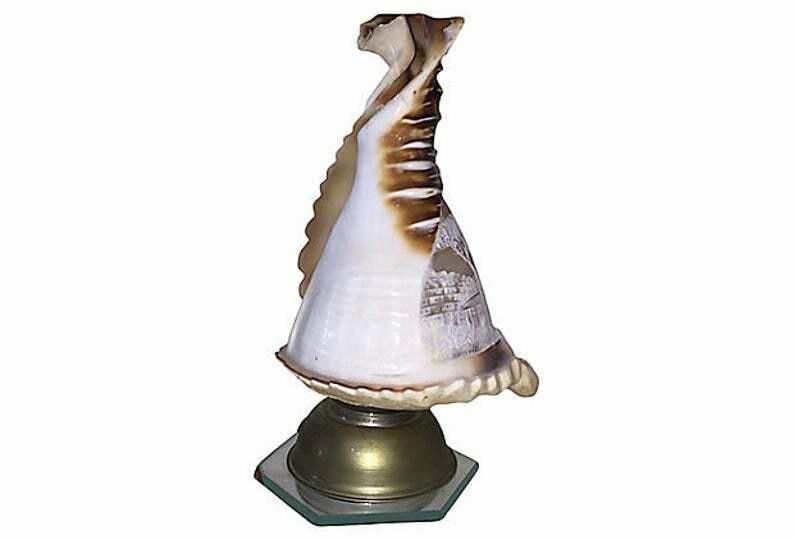 Designer Napoli Conch Souvenir Lamp Size ONE SIZE - 5 Thumbnail