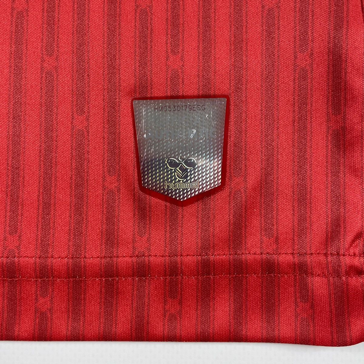 Hummel Hummel Southampton FC 2023/24 Soccer Jersey Football Shirt Size US L / EU 52-54 / 3 - 8 Thumbnail