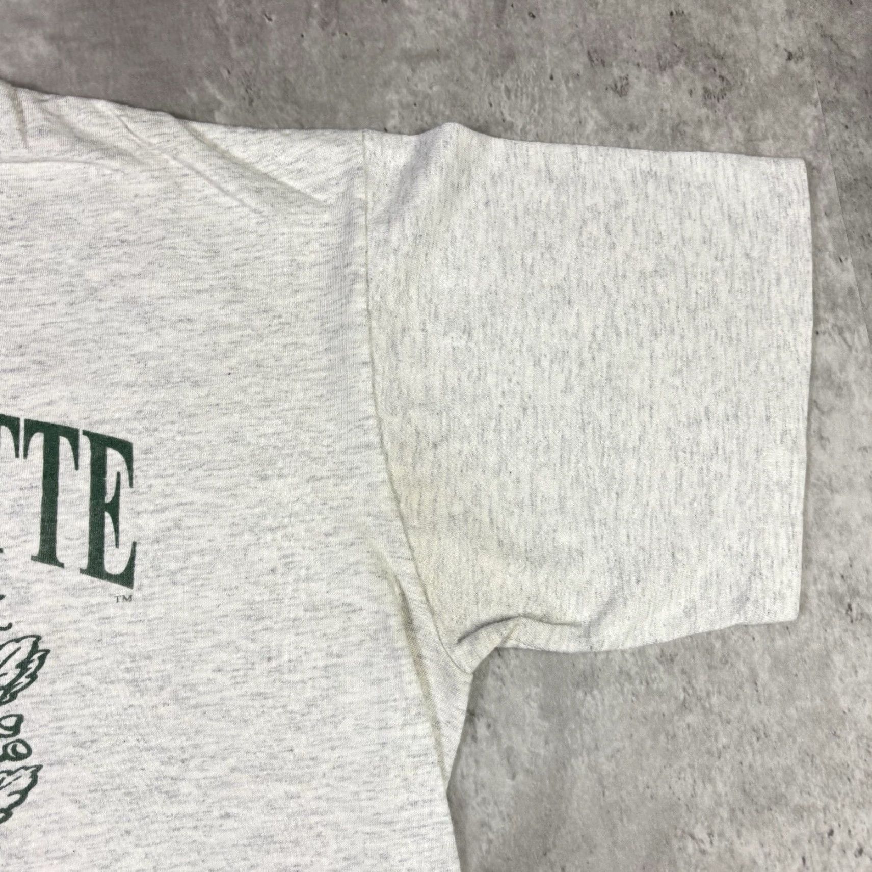 Vintage VINTAGE UNC Charlotte Womens Softball Sports T Shirt Single Stitch 90s Adult Lg Size L / US 10 / IT 46 - 6 Thumbnail