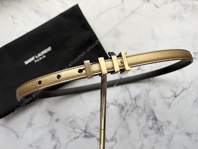 Saint Laurent Paris Saint Laurent Paris 13SS First Year Dark Gold Cowhide Three Size ONE SIZE - 1 Thumbnail