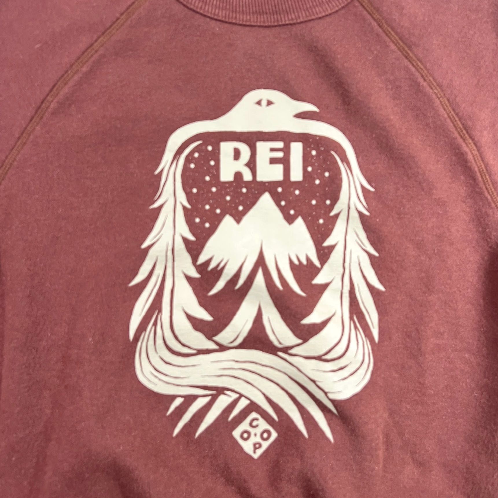Vintage REI Sweatshirt Brown Pullover Size Small Outdoor Hiking Mens Size US S / EU 44-46 / 1 - 2 Thumbnail