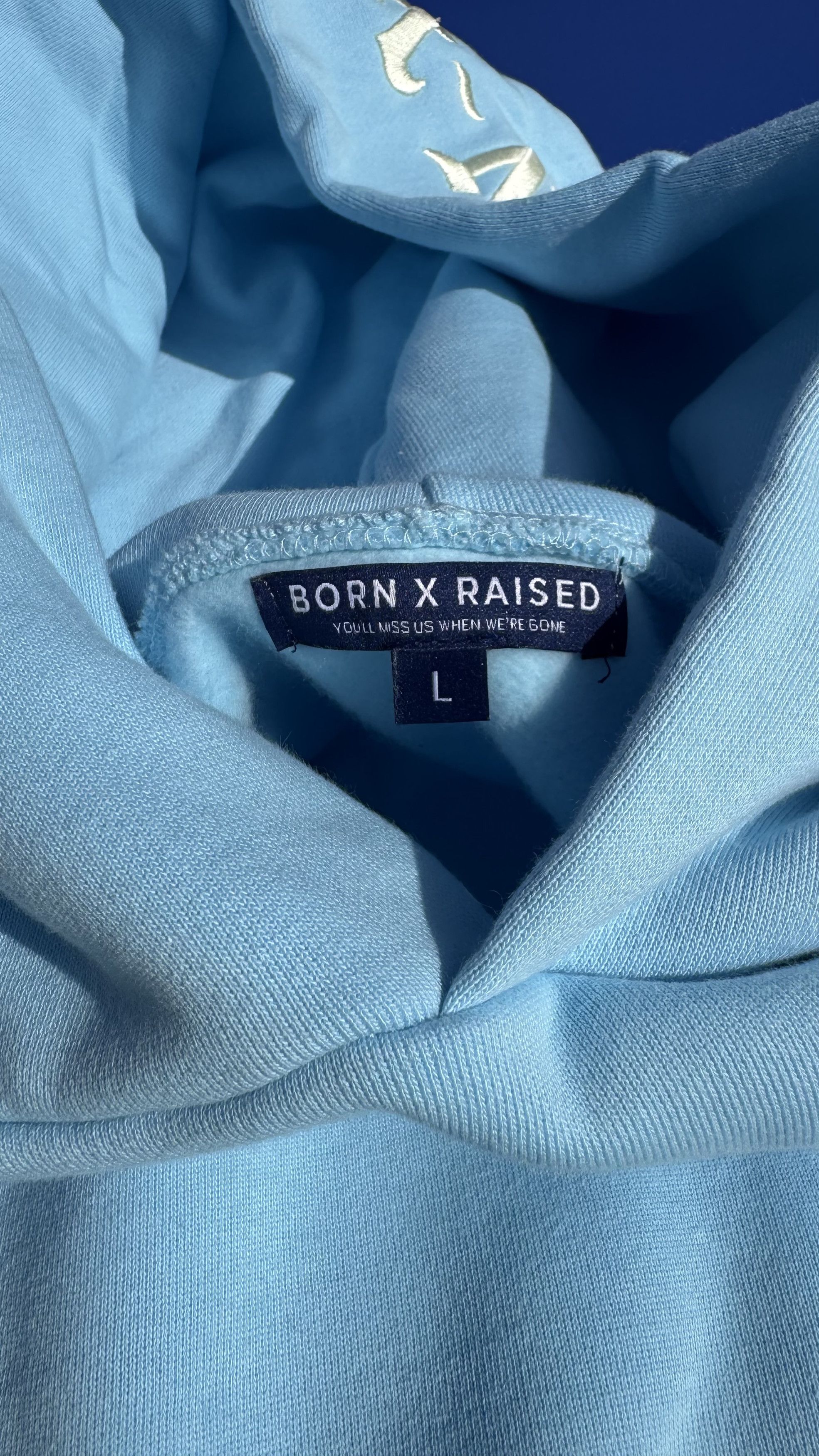 Born X Raised Born X Raised Baby Blue Embroidered Hoodie Size US L / EU 52-54 / 3 - 4 Thumbnail