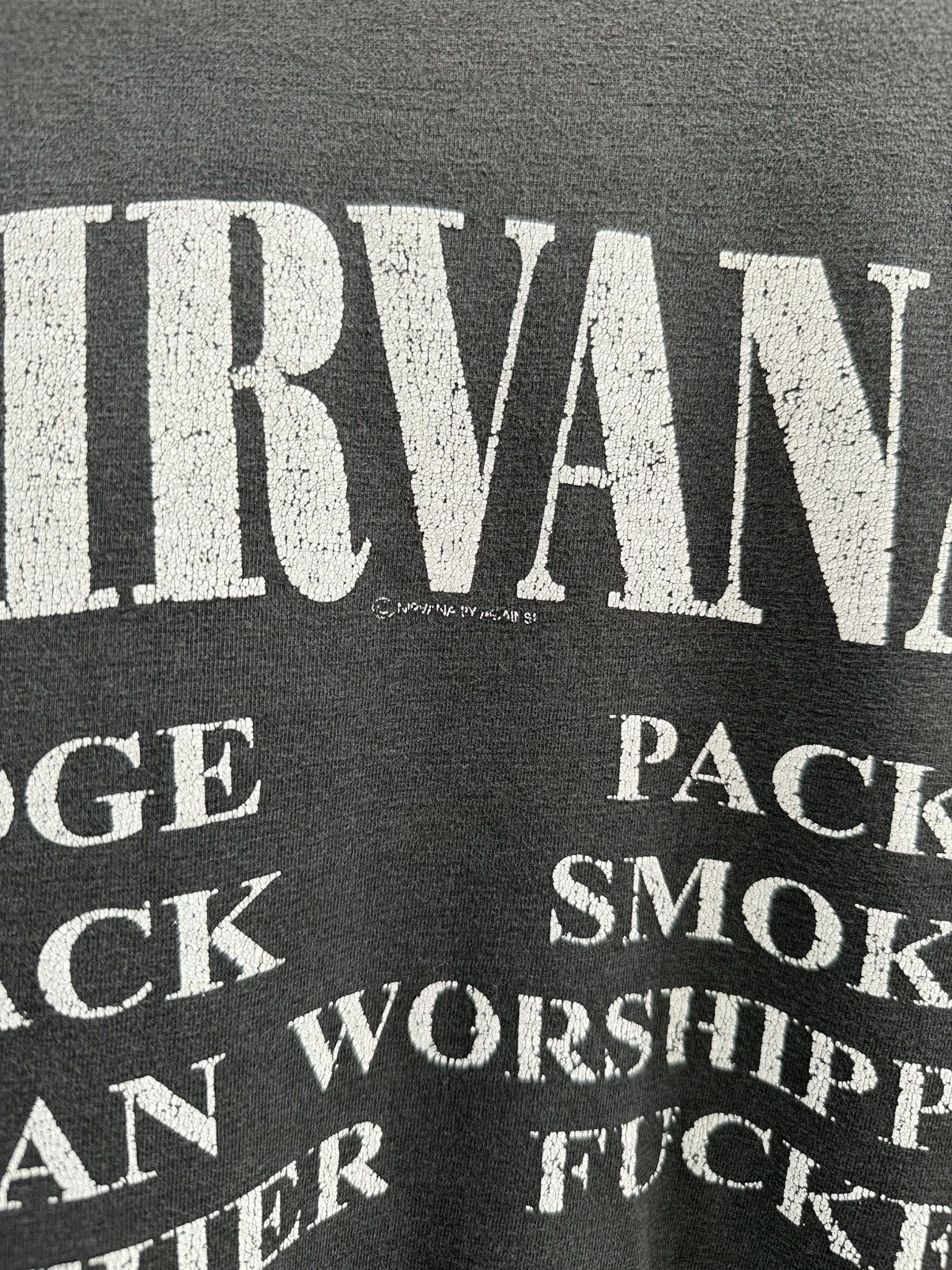 Band Tees Thrashed Vintage Nirvana Vestibule Sun Faded Grunge Tee Size US L / EU 52-54 / 3 - 12 Thumbnail