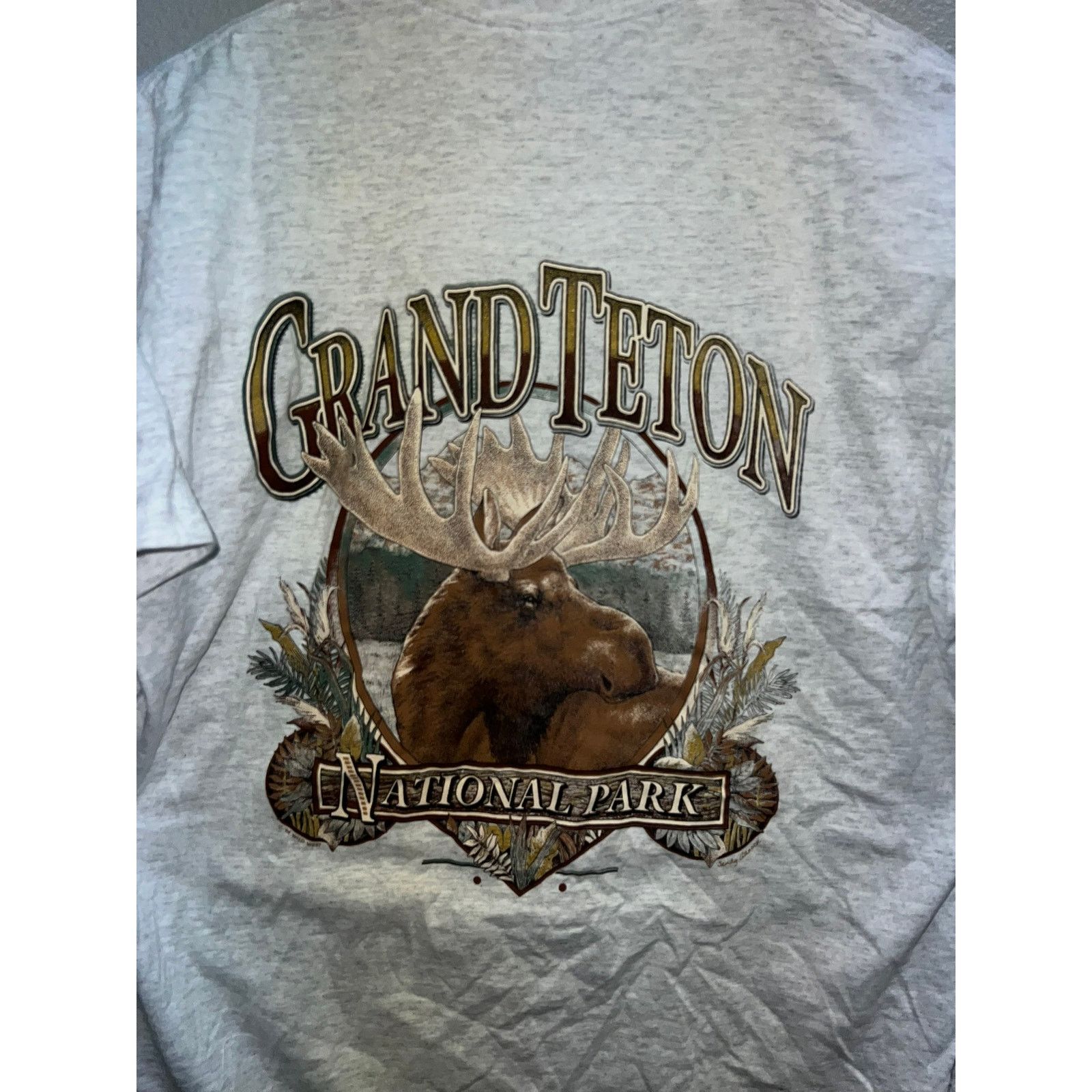 Jerzees Vintage Test Print Shirt Grand Canyon Teton Moose 90s Large Size US L / EU 52-54 / 3 - 9 Thumbnail