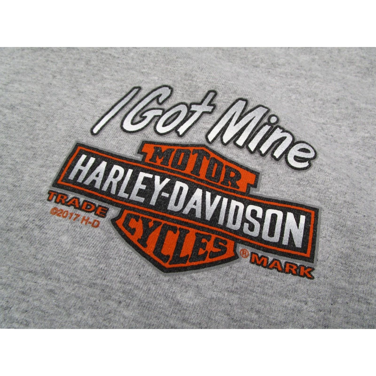 Harley Davidson Harley-Davidson Graphic T-Shirt Men's Large Gray Short Sleeve Crew Neck Gator Leesburg Florida Biker Retro Size US L / EU 52-54 / 3 - 2 Thumbnail