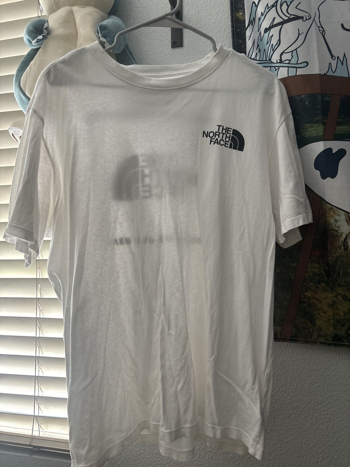 The North Face North Face T Shirt Size US L / EU 52-54 / 3 - 1 Thumbnail