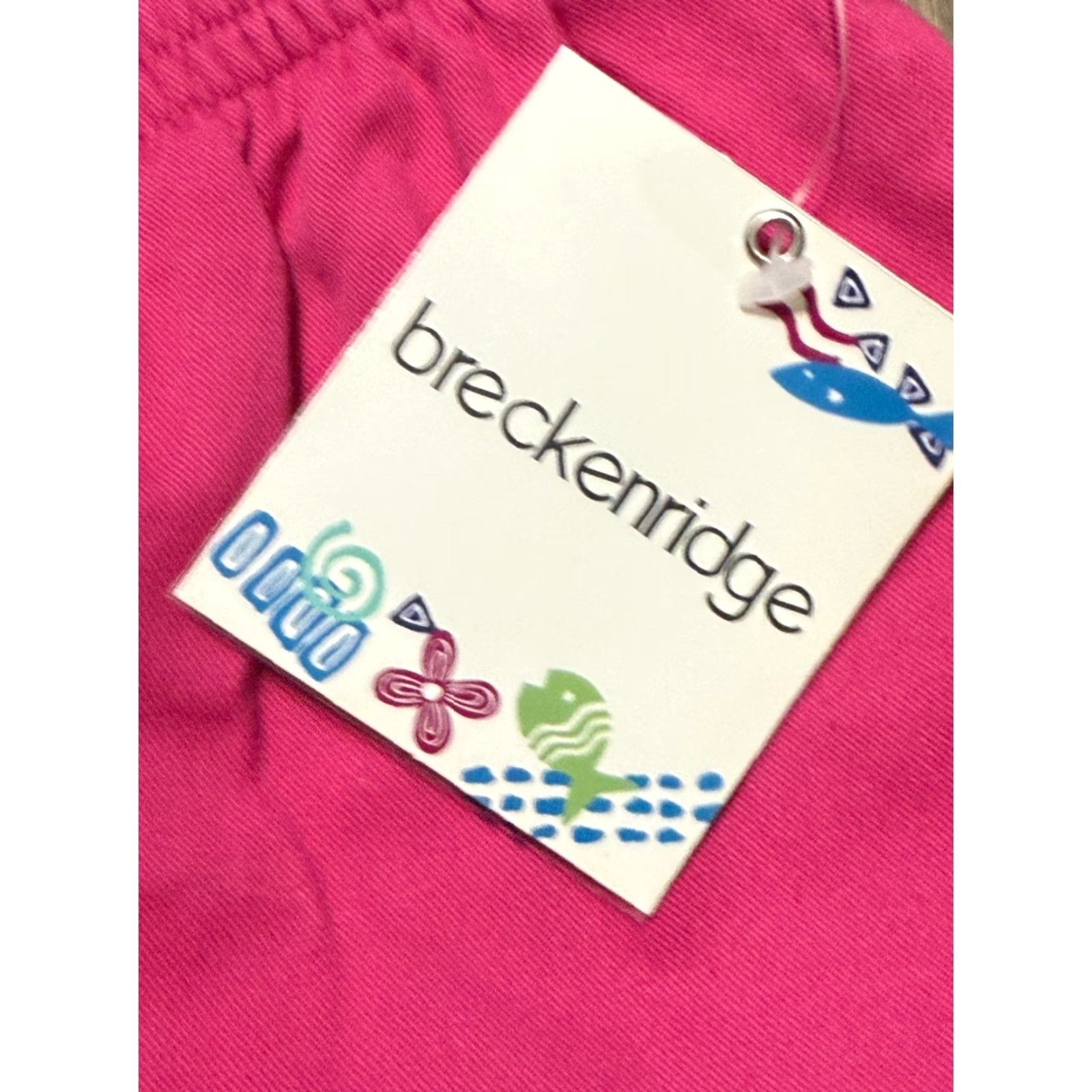 Vintage Breckenridge Pants Women’s 12 Pink Pull On Capris NWT Regular Rise 21 In Inseam 21 in Cotton Blend Straight Style Capris NWT Size 34" / US 12 / IT 48 - 5 Thumbnail