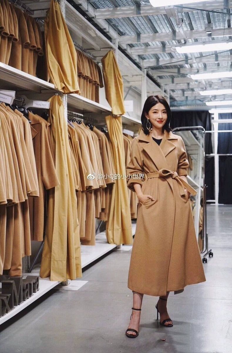 Max Mara Max Mara Camel Classic Size XS / US 0-2 / IT 36-38 - 8 Thumbnail