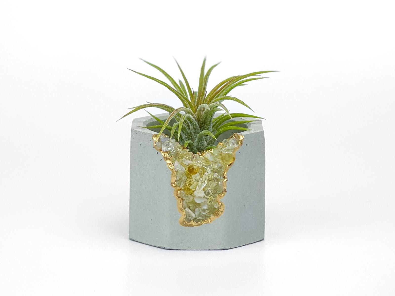 Other Geode Plant Holder Tumbled Citrine Stone Pot Air Plant gift Size ONE SIZE - 6 Thumbnail
