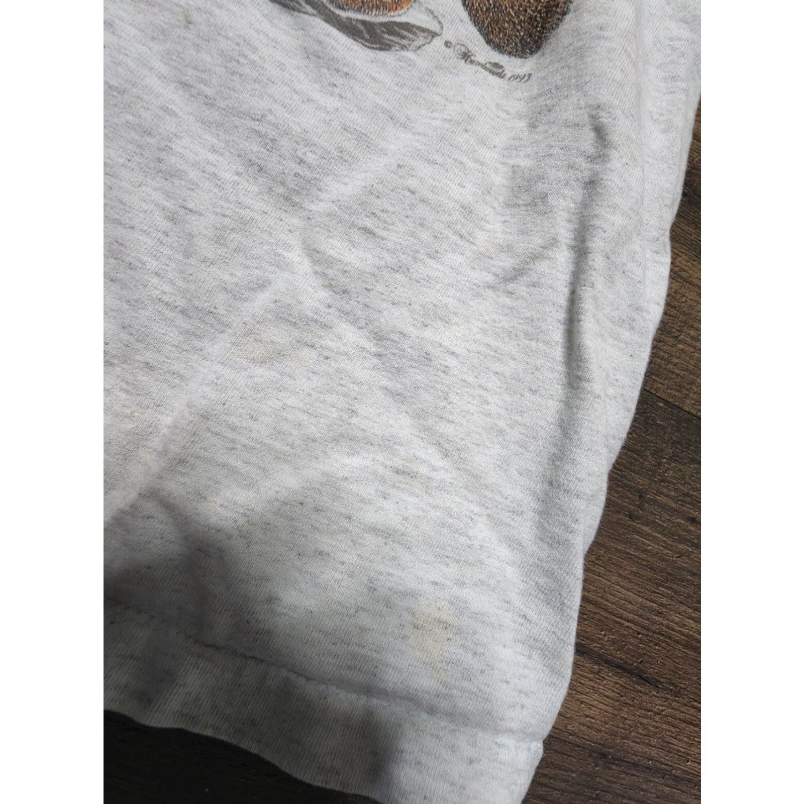 Elwood VINTAGE 90s Hazelwood Mountain Lion T Shirt Mens XL Distressed Thrashed Gray Cotton Blend Crew Neck Short Sleeve T-Shirt Size US XL / EU 56 / 4 - 5 Thumbnail