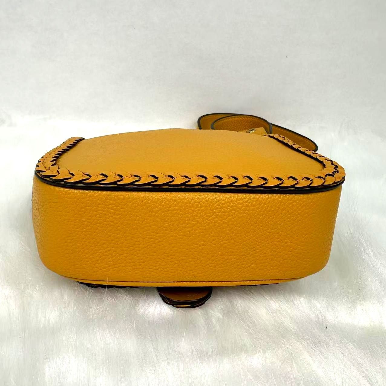 Coach Coach Tabby Leather xbody Messenger 19 Braid Buttercup NWT Size ONE SIZE - 11 Thumbnail