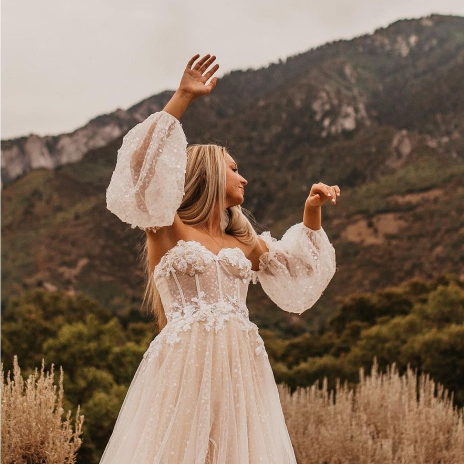 Anthropologie Sparkle Sheer Lace Sleeve Corset Wedding Dress Bridal Gown Size XL / US 12-14 / IT 48-50 - 6 Thumbnail