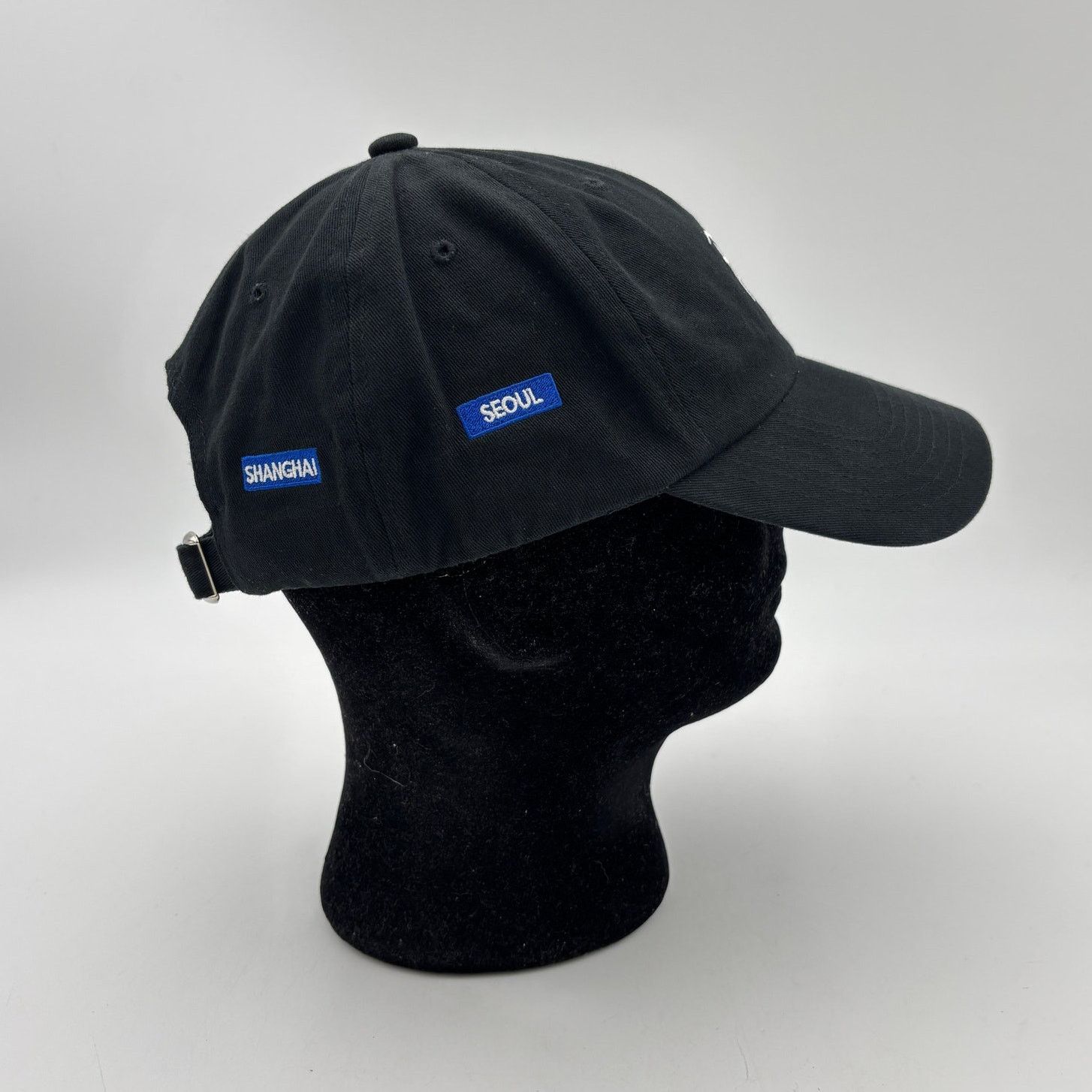 Patta Patta Asia Tour City Sports Cap Strapback Hat Seoul Tokyo Size ONE SIZE - 3 Thumbnail