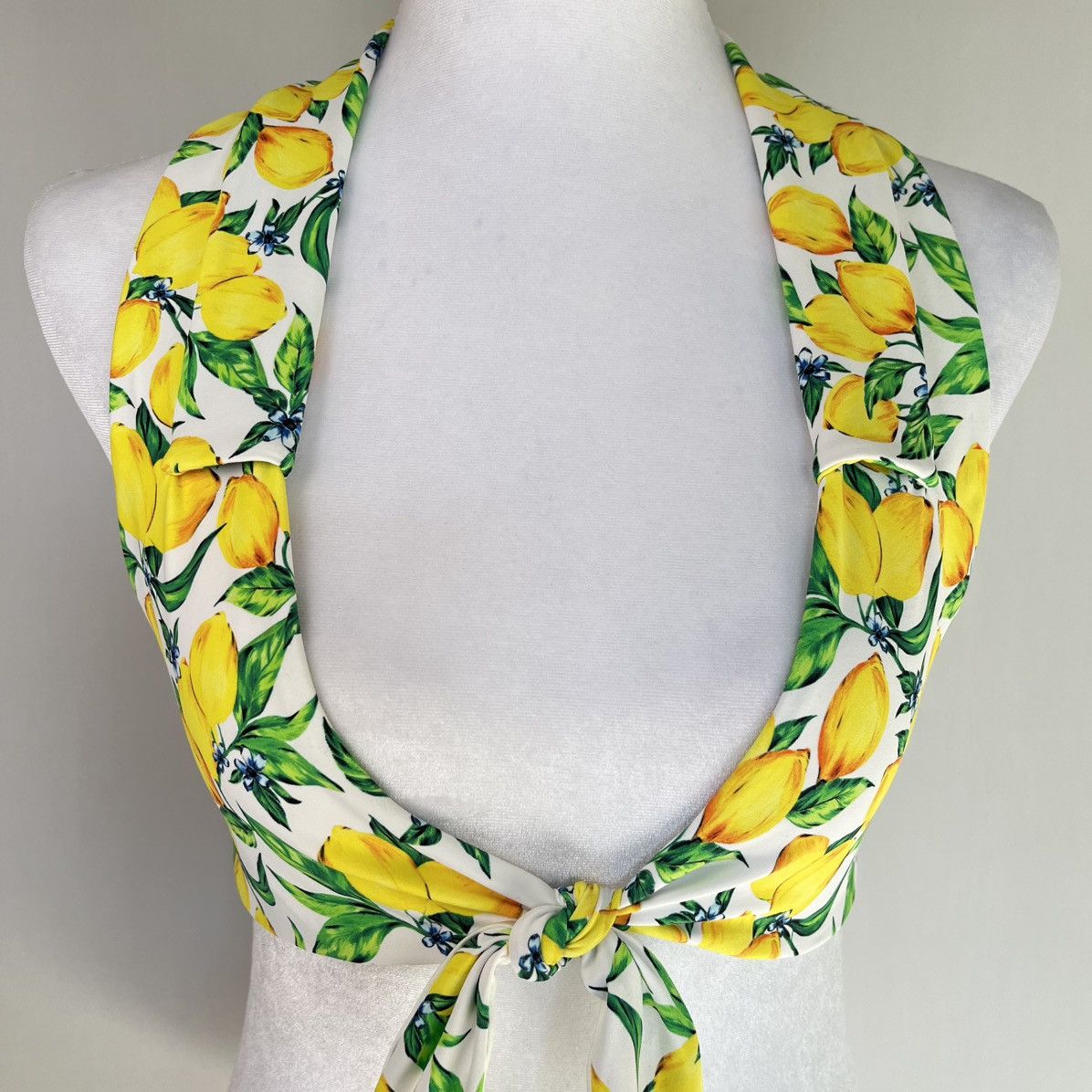 Onia Onia x We Wore What Lemons All Over Salerno Bikini Top Size S / US 4 / IT 40 - 5 Thumbnail