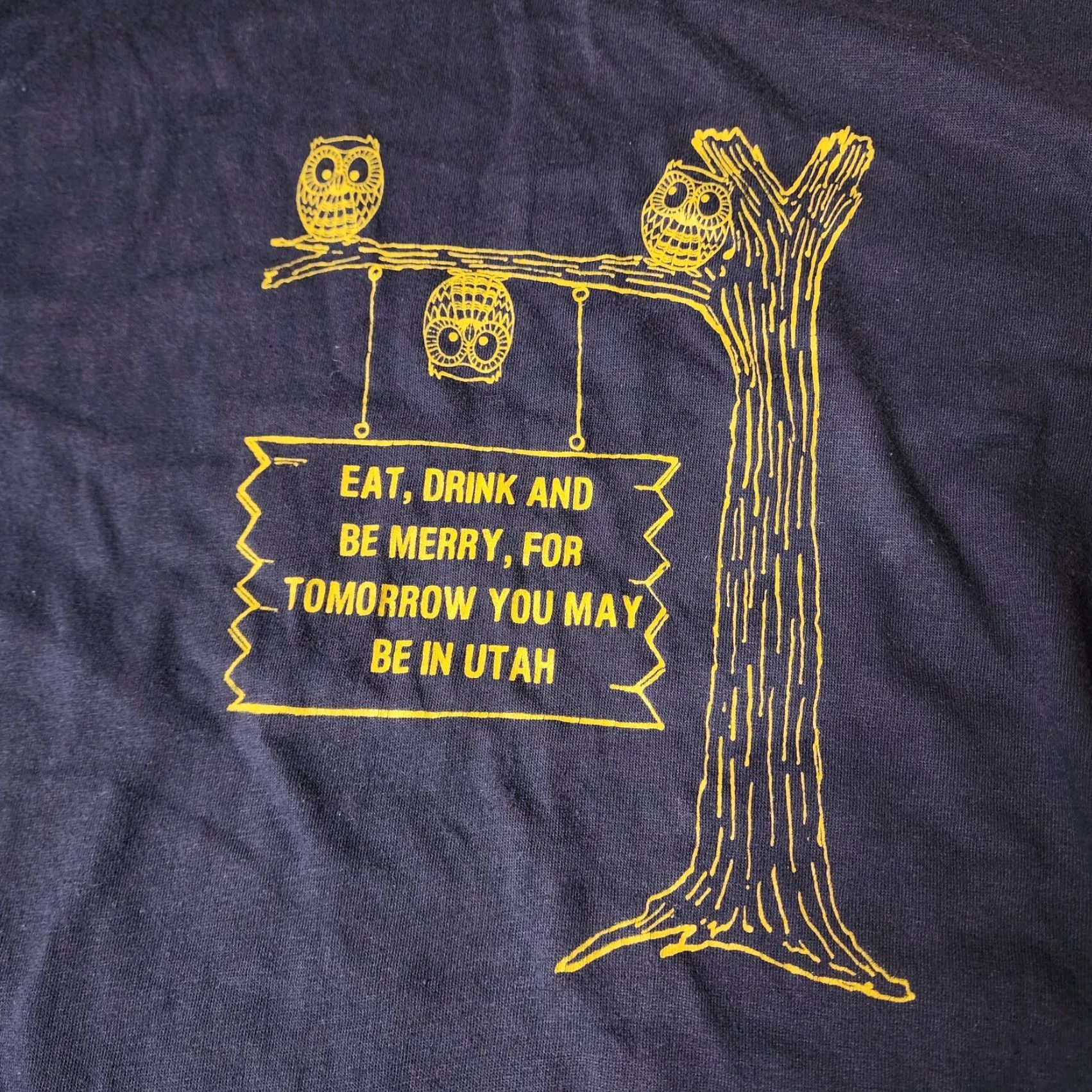 Velva Sheen VINTAGE Velva Sheen T-Shirt Mens M Eat Drink And Be Merry Utah Owl 70s Blue USA 70s Sh Shirt? Size US M / EU 48-50 / 2 - 4 Thumbnail