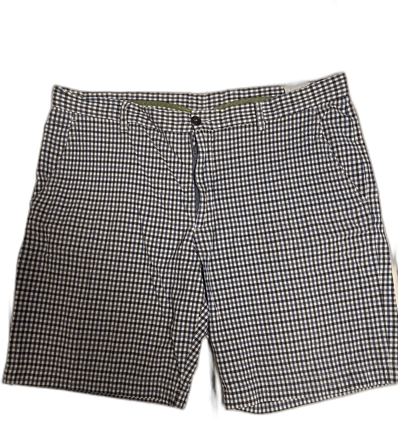 Etro ETRO Casual Shorts for Men Size US 44 / EU 60 - 1 Thumbnail
