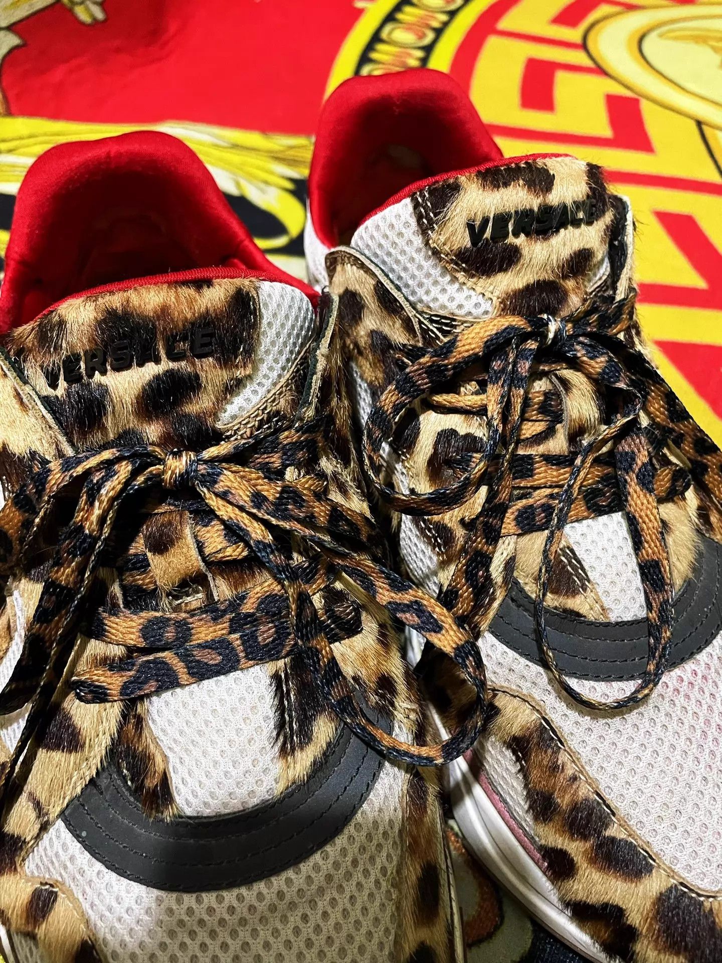 Versace Versace Squalo Runway Low Top Sneaker 42 9/10 Size US 9 / EU 42 - 6 Thumbnail