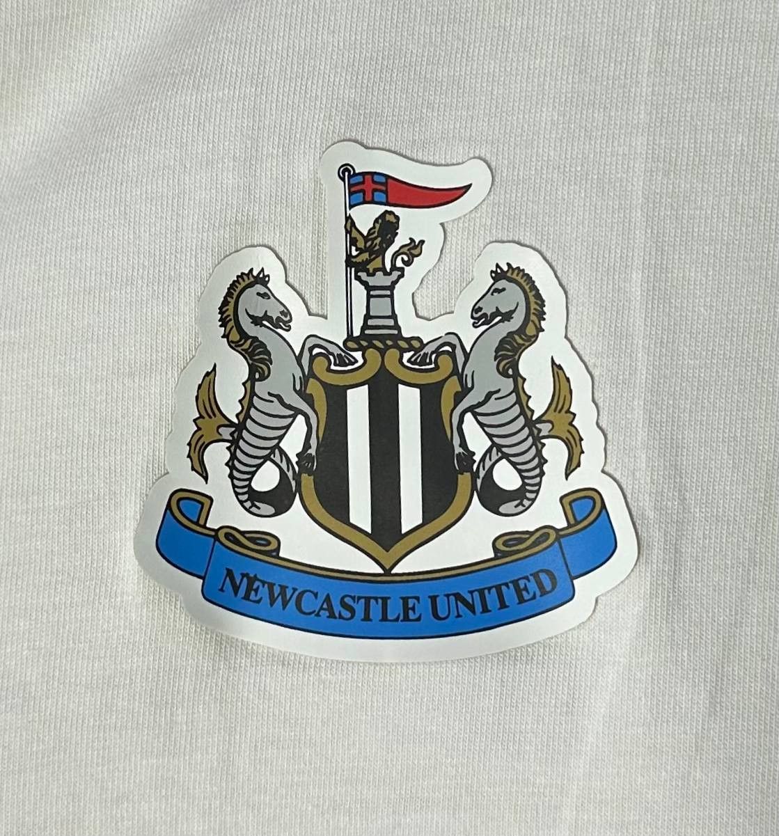 Castore Castore NUFC Newcastle United Core Cotton T-Shirt white Size US XS / EU 42 / 0 - 3 Thumbnail
