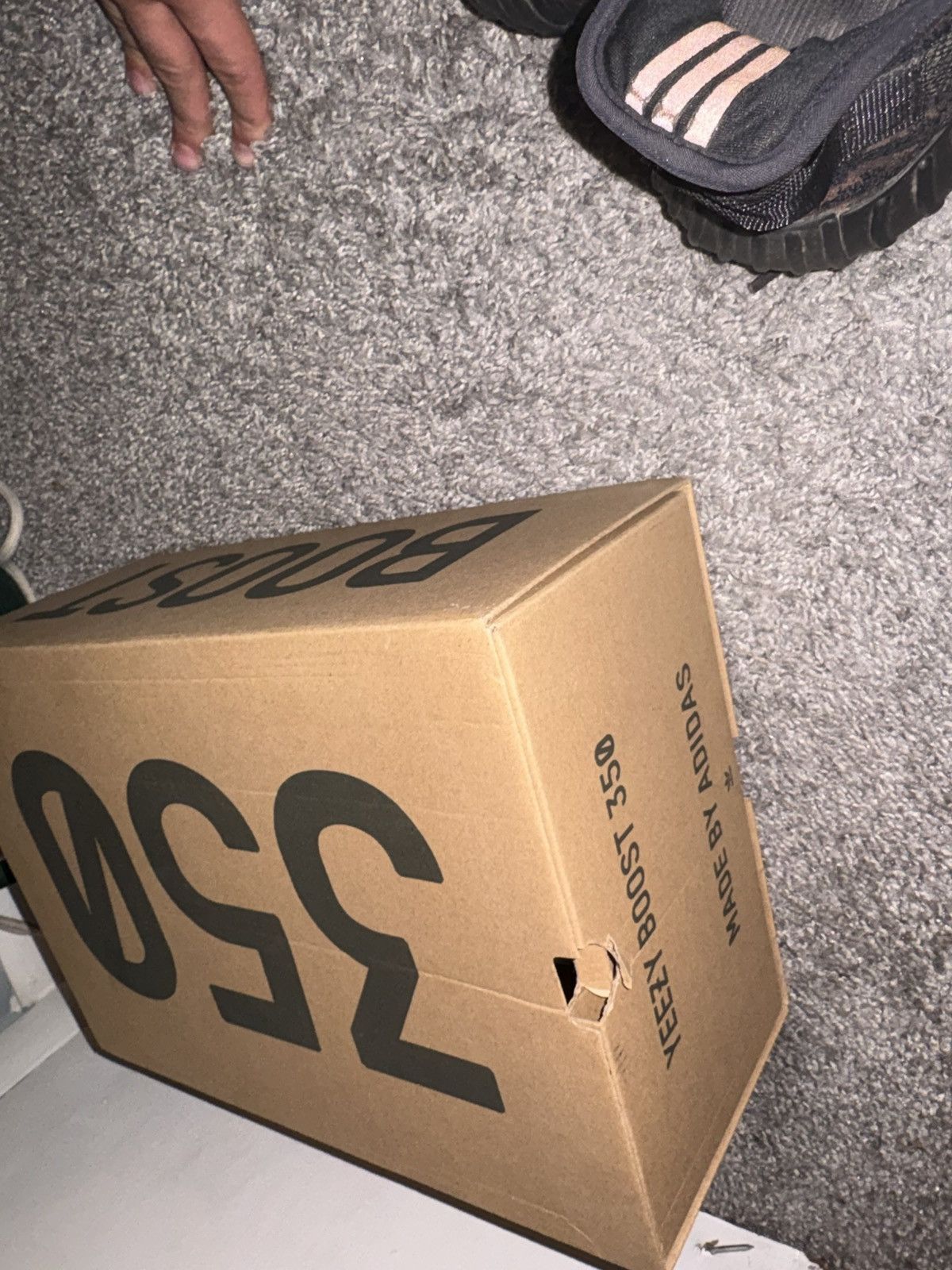 Yeezy Yeezy Boost 350 v2 Mx rock colorway Size US 11 / EU 44 - 8 Thumbnail