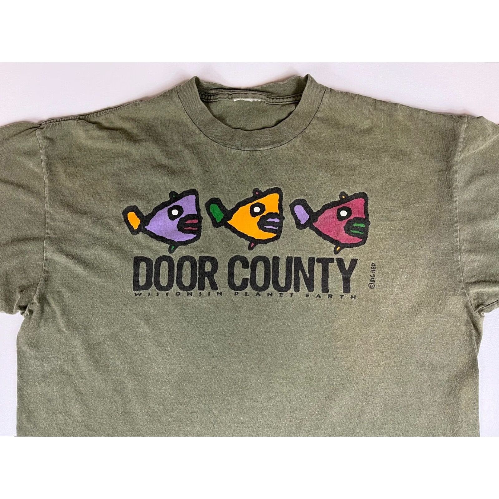 Vintage VINTAGE Men's T-Shirt Door County Wisconsin Planet Earth Crew Neck Short Sleeve Sz L Green 1990s Fish Nature Planet Earth Vintage Mens T-Shirt Size US L / EU 52-54 / 3 - 3 Thumbnail