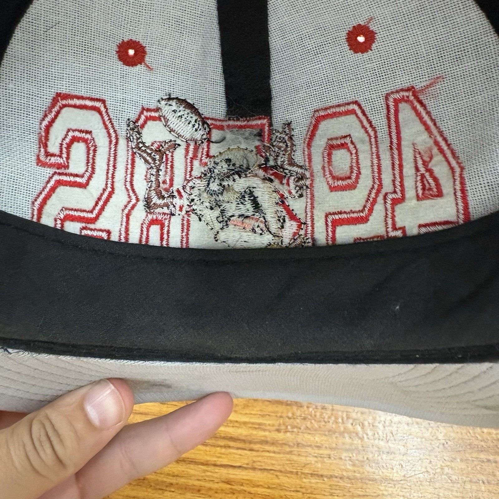 Logo 7 Vintage 90s NFL SF 49ers X Taz Looney Toons Snap Back Hat Size ONE SIZE - 10 Thumbnail