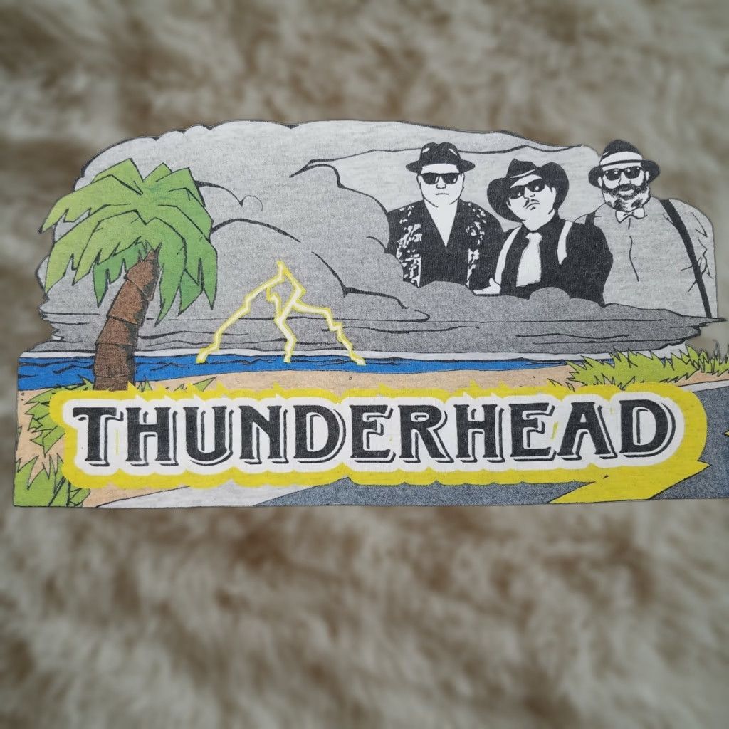 Hanes Hanes Thunderhead Storm T-Shirt Gray Short Sleeve Adult XL Crew Neck Men’s Size XL Graphic Tee, 90s/Concert/Accessories Size US XL / EU 56 / 4 - 1 Thumbnail