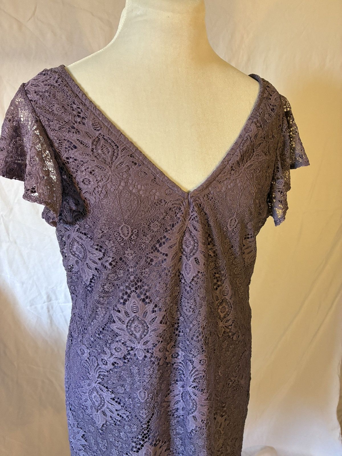 Other Francesca’s Lace Flutter Sleeve Mini Dress Size L / US 10 / IT 46 - 2 Thumbnail