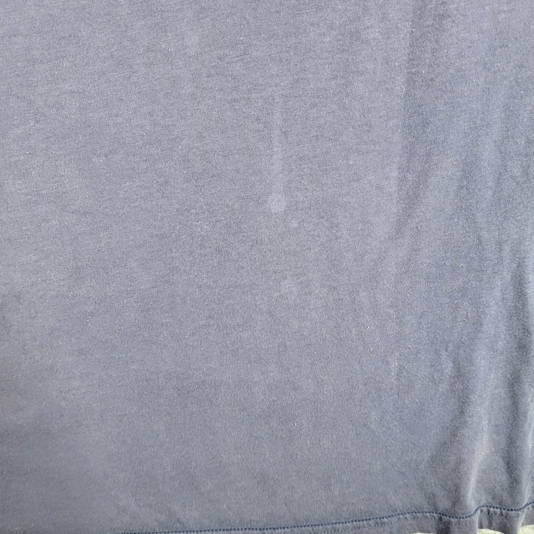 Patagonia Patagonia Men's M Slim fit Short Sleeve T-Shirt Blue Organic Cotton Crew Neck Casual Size US M / EU 48-50 / 2 - 7 Thumbnail