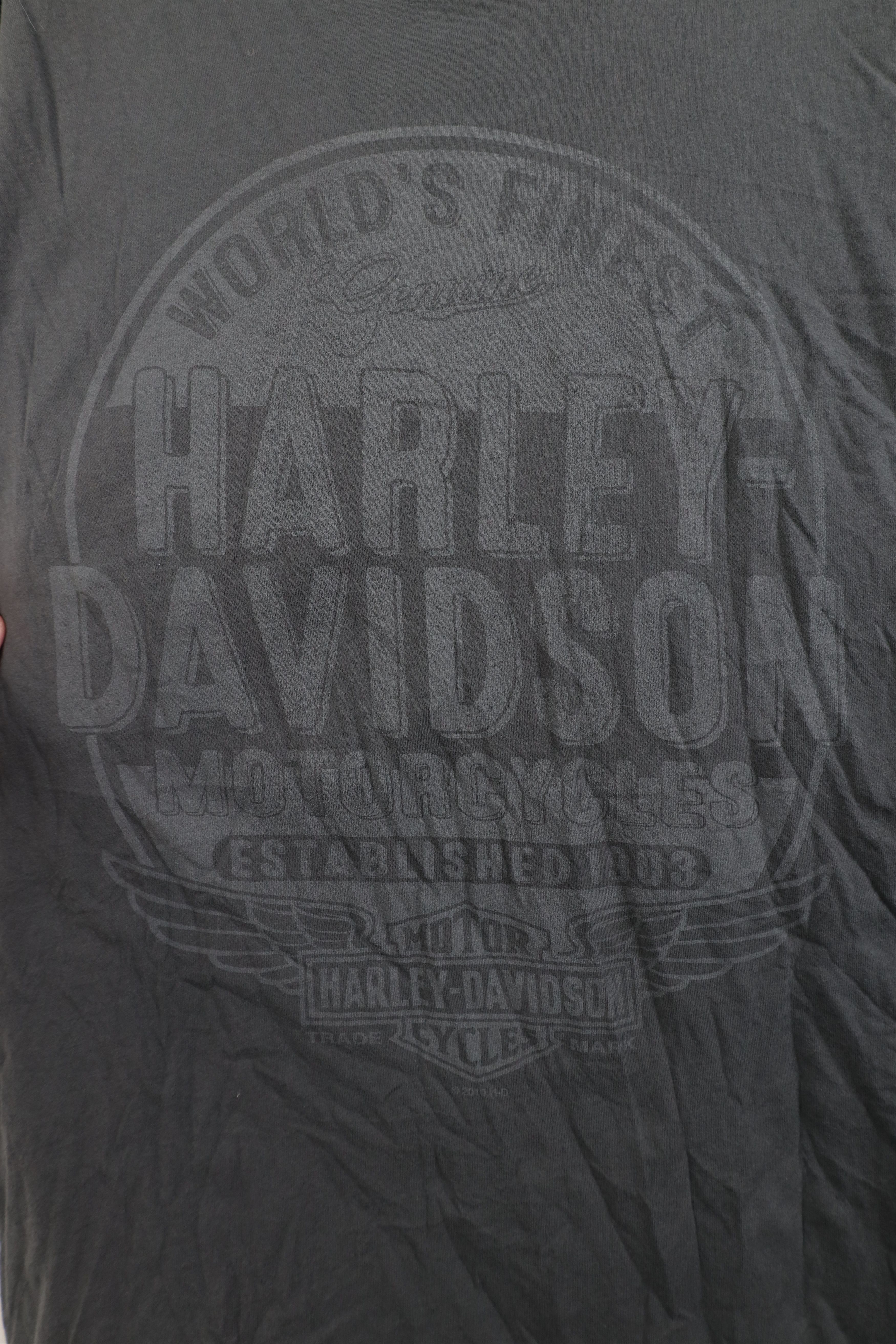 Harley Davidson Y2K Harley Davidson Spell Out Wings Long Sleeve T-Shirt Gray Size US L / EU 52-54 / 3 - 4 Thumbnail