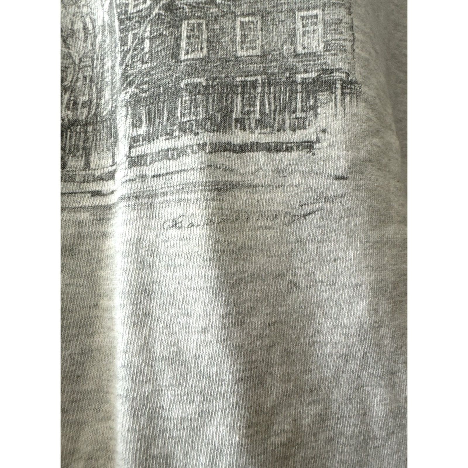 Fruit Of The Loom VINTAGE Harvard University T Shirt Fruit Of The Loom L Gray USA Made 90s Size US L / EU 52-54 / 3 - 4 Thumbnail
