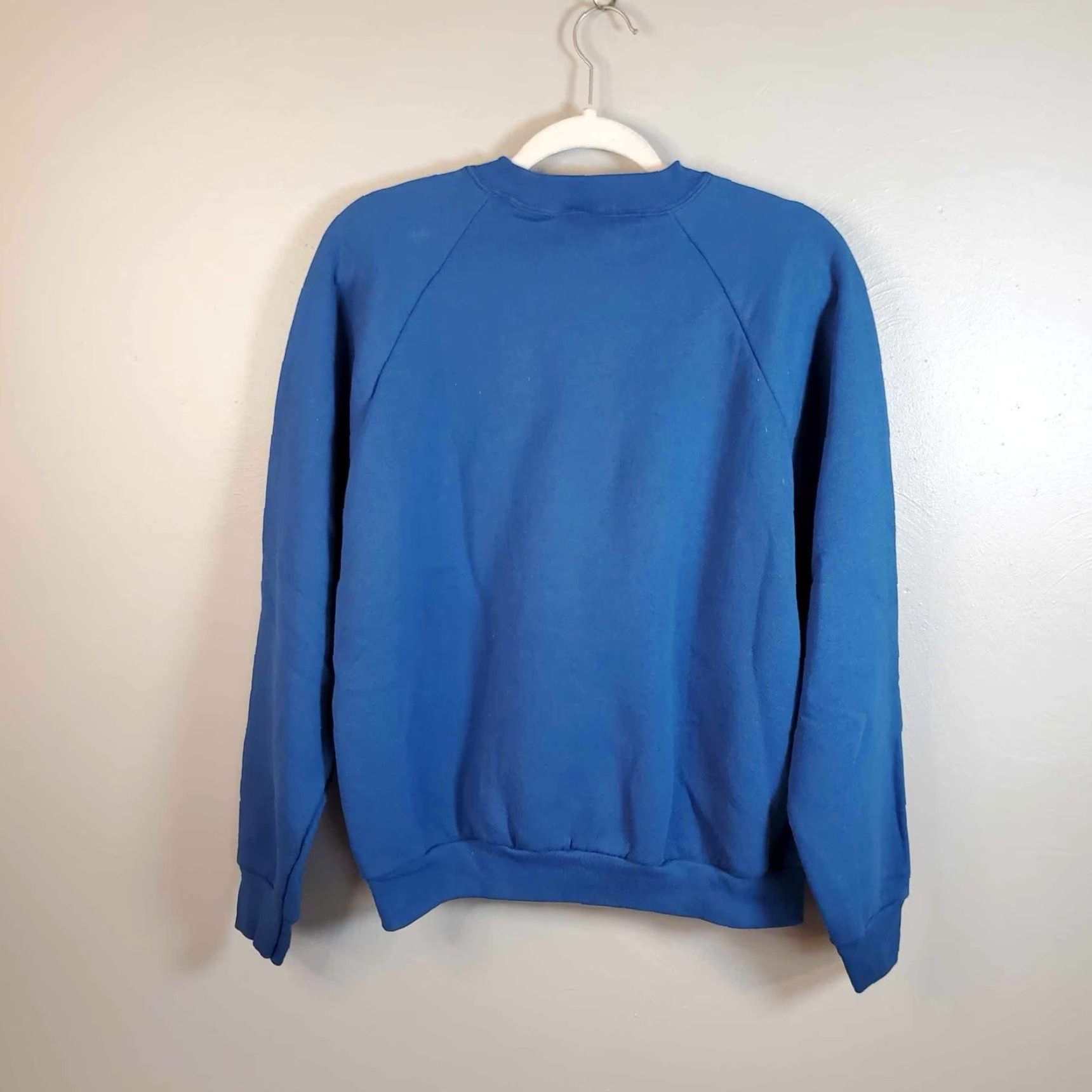 Fruit Of The Loom VINTAGE Fruit of the Loom Blue Blank Crewneck Sweatshirt L Mens 90s Retro Classic Pullover Crew Neck All Seasons Cotton Blend Size US L / EU 52-54 / 3 - 3 Thumbnail