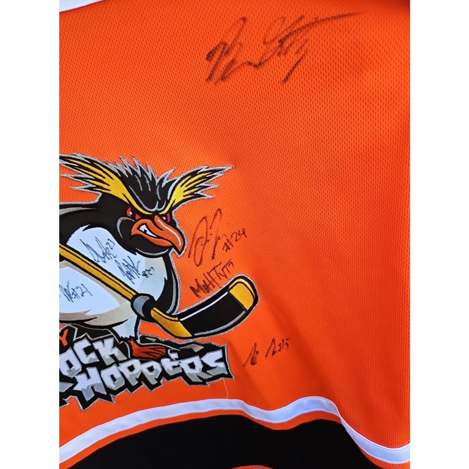 Vintage Signed Jersey Rockhoppers EPHL Hockey JERSEY DIZE MEDIUM Polo Mens Black Cotton Blend, Polyester Embroidered Ot sports 24 Chest 30 Length Size US M / EU 48-50 / 2 - 4 Thumbnail