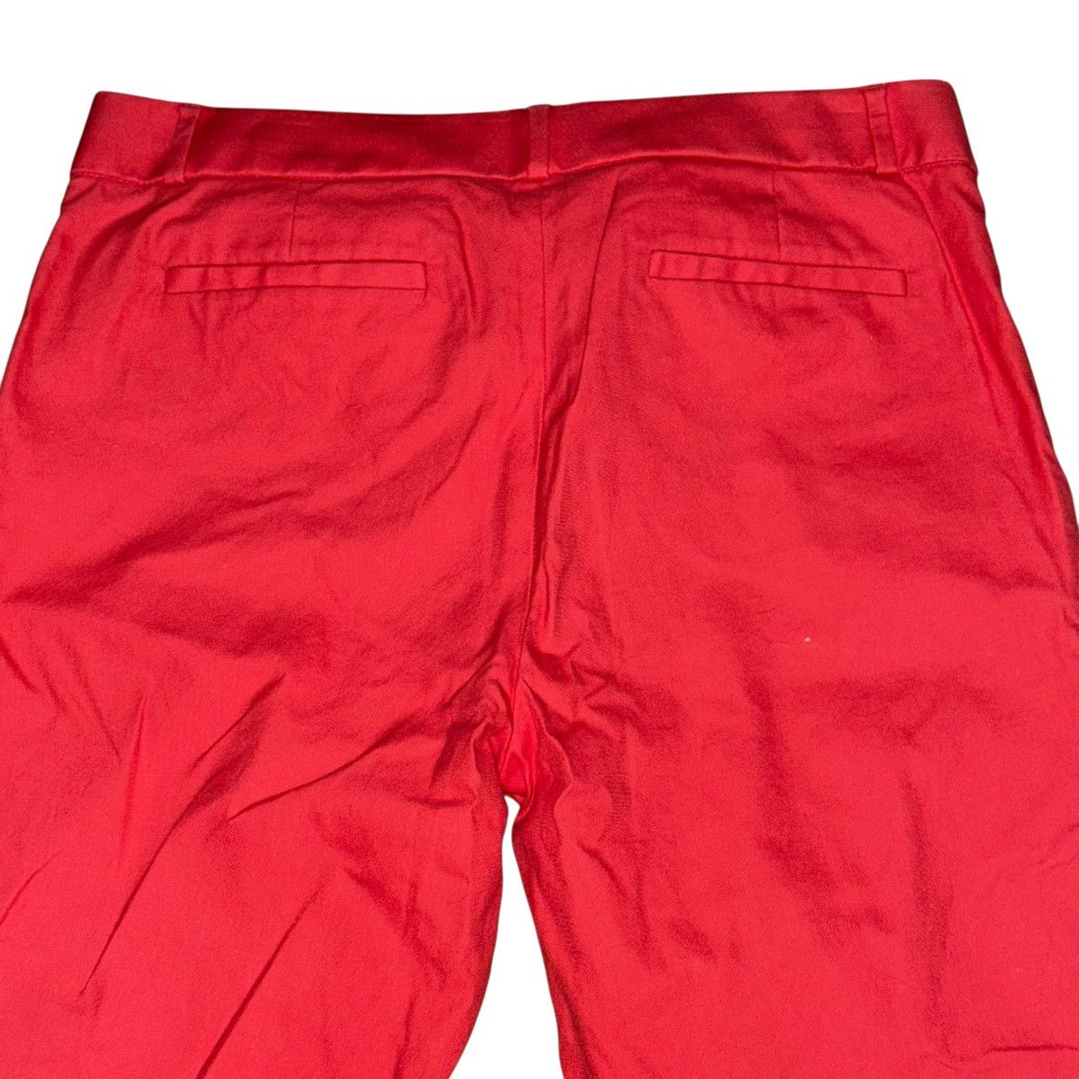 Banana Republic Banana Republic coral cropped chino pants Size 34" / US 12 / IT 48 - 4 Thumbnail