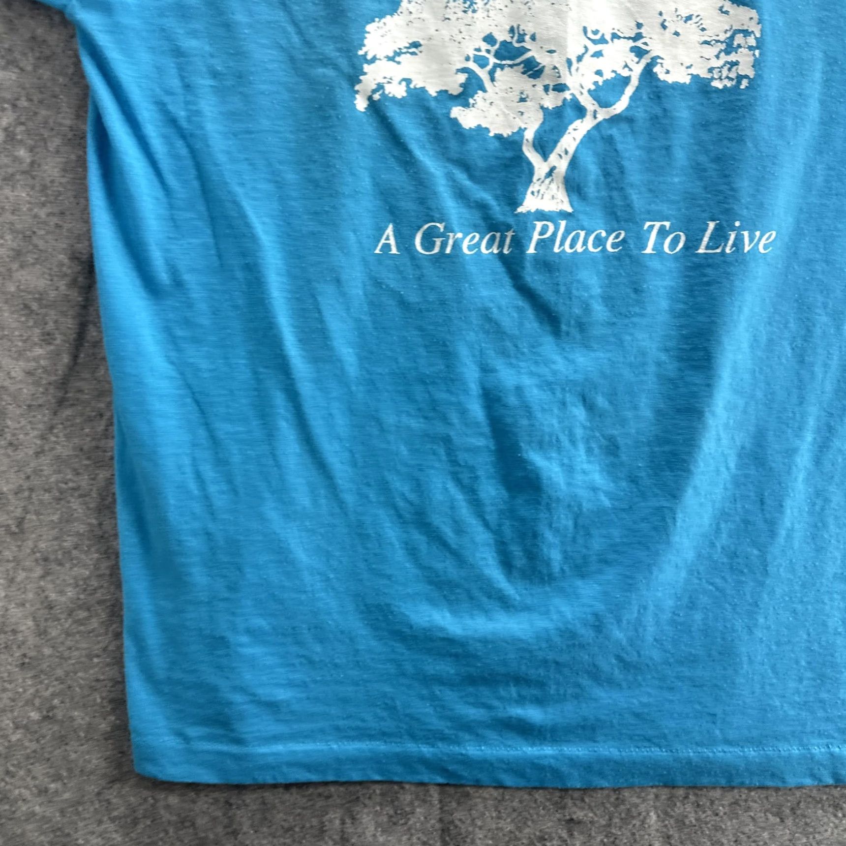 Fruit Of The Loom VINTAGE San Carlos Shirt Mens L Blue Fruit of the Loom Tee California Tree 90s City Travel Palm Print Graphic Cotton Polyester Crew Neck Short Sleeve Size US L / EU 52-54 / 3 - 5 Thumbnail