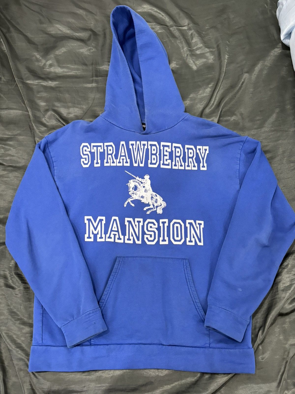 Strawberry Mansion Hoodie | Grailed