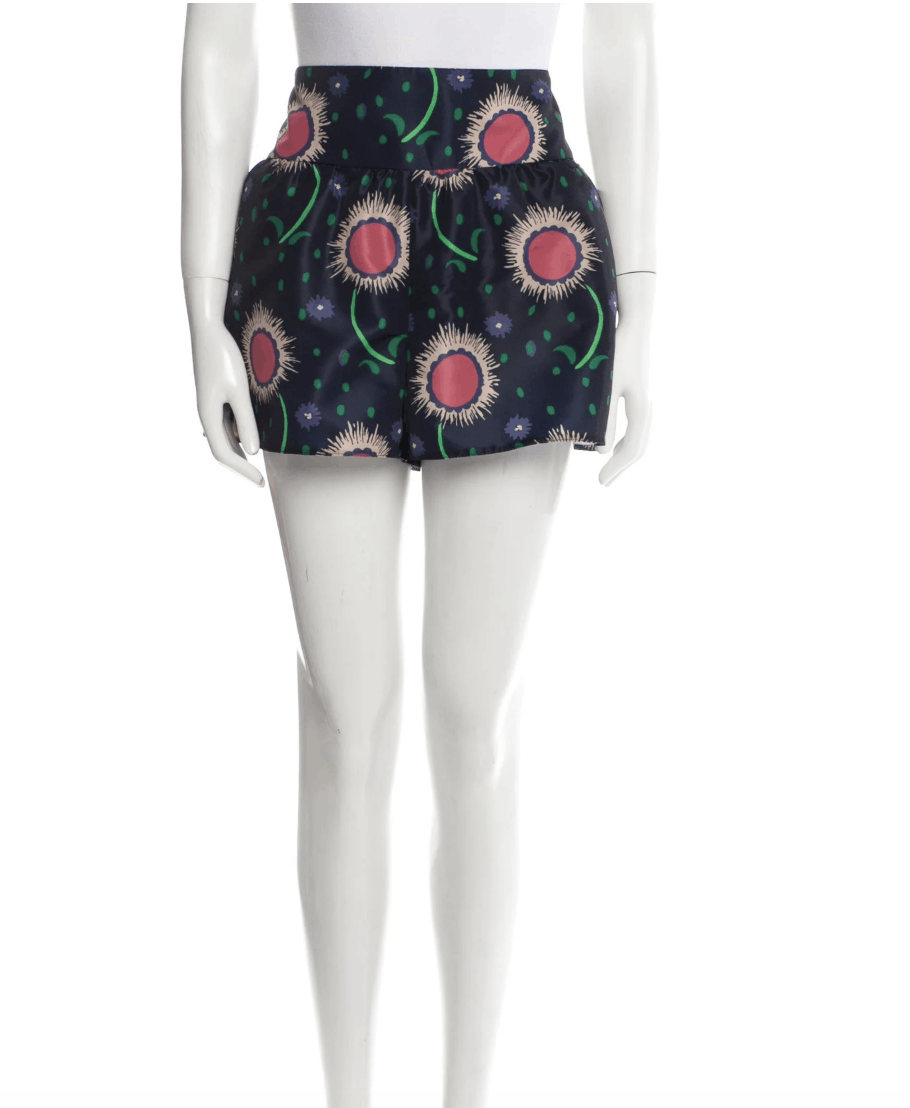 RED Valentino Red Valentino printed shorts Size 28" / US 6 / IT 42 - 10 Thumbnail