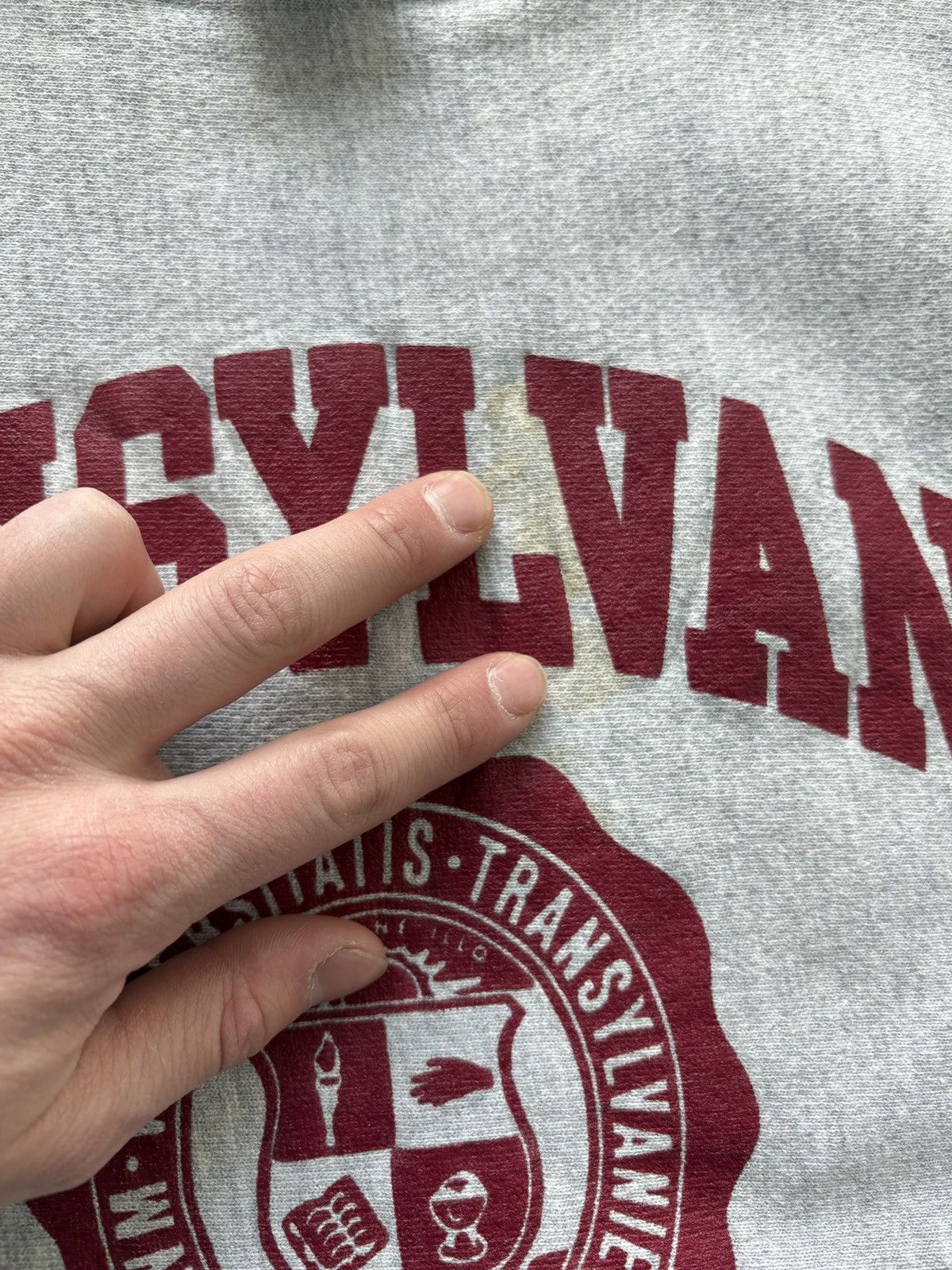 Champion Vintage 90s Champion Reverse Weave Transylvania University Size US L / EU 52-54 / 3 - 4 Thumbnail