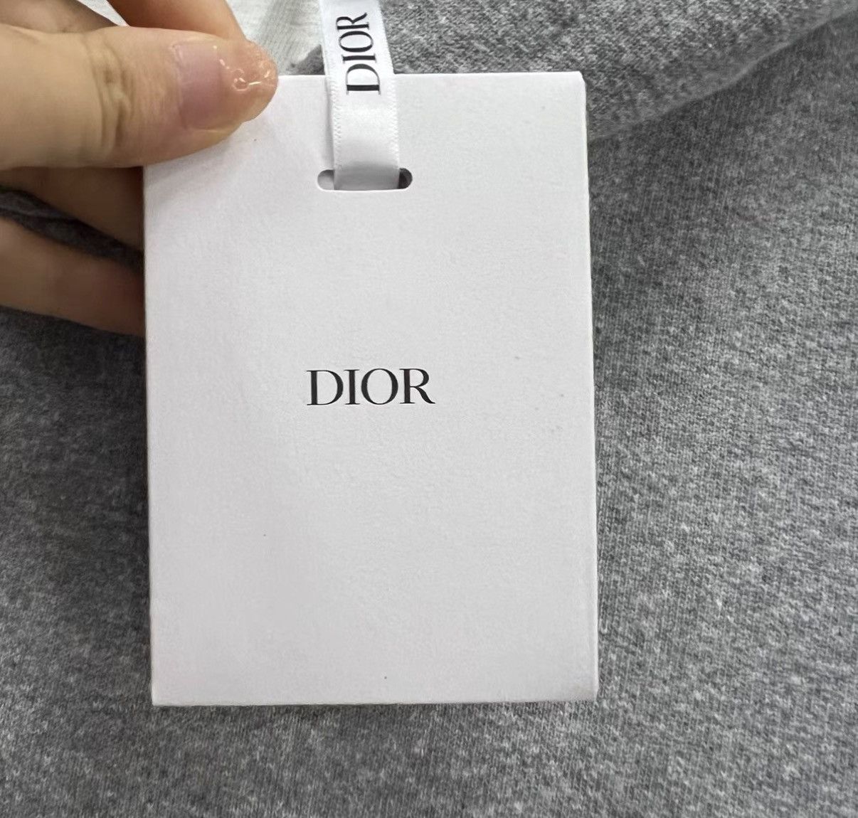 Dior Dior grey mini logo distressed hoodie J41 Size US M / EU 48-50 / 2 - 5 Thumbnail