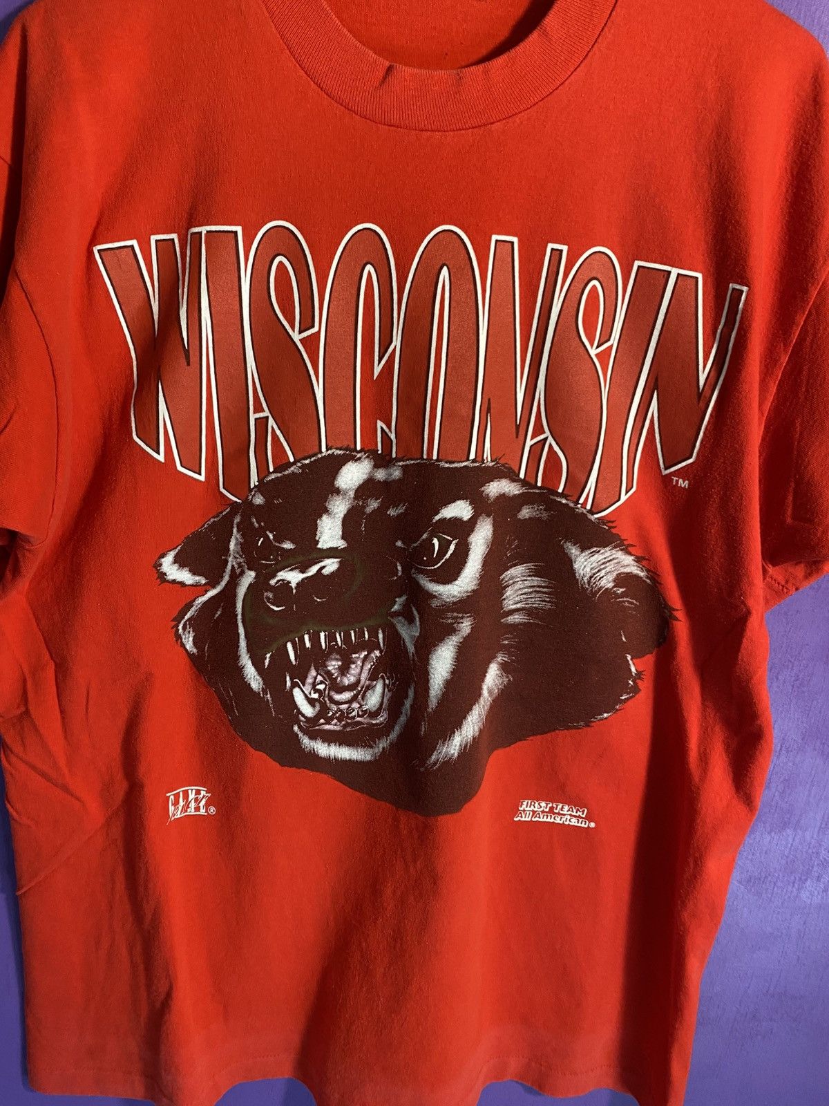 Other Vintage 90s Wisconsin badgers animal mascot t-shirt Size US XL / EU 56 / 4 - 3 Thumbnail